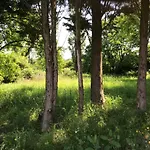French Fields Luxury Glamping Original Mongolian Yurt Luxury tent Le-Vieux-Cerier
