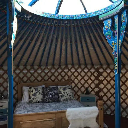 French Fields Luxury Glamping Original Mongolian Yurt Luxe tent