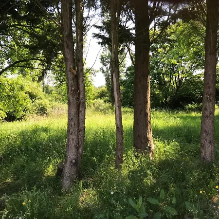 French Fields Luxury Glamping Original Mongolian Yurt Luxe tent Le-Vieux-Cerier