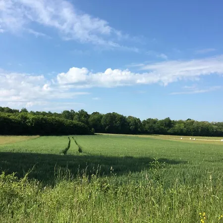 French Fields Luxury Glamping Original Mongolian Yurt Luxe tent