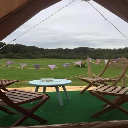 French Fields Luxury Glamping Original Mongolian Yurt Le-Vieux-Cerier