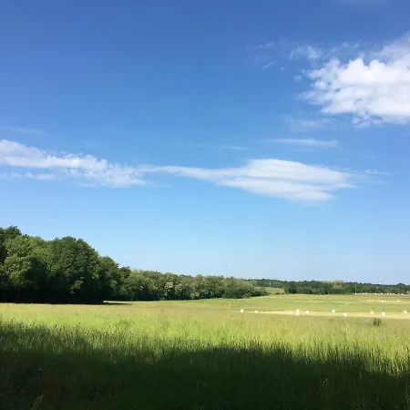 French Fields Luxury Glamping Original Mongolian Yurt Luxe tent