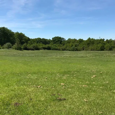 Luxe tent French Fields Luxury Glamping Original Mongolian Yurt *