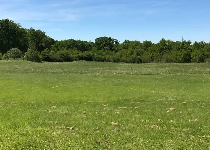 Luxury tent French Fields Luxury Glamping Original Mongolian Yurt *